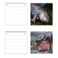 🦛Moo Deng Calendar | 2025 Calendar