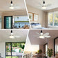 ⏳LAST DAY SALE 60% OFF🔥40W LED Ceiling Fan Light – 20.5” Ultra-Quiet with Remote 🎯 | E27 + FREE B22 Adapter 🔌 | For Bedroom 😴, Kitchen 👩‍🍳 & Garage 🛠️ – UK Ready! 🇬🇧