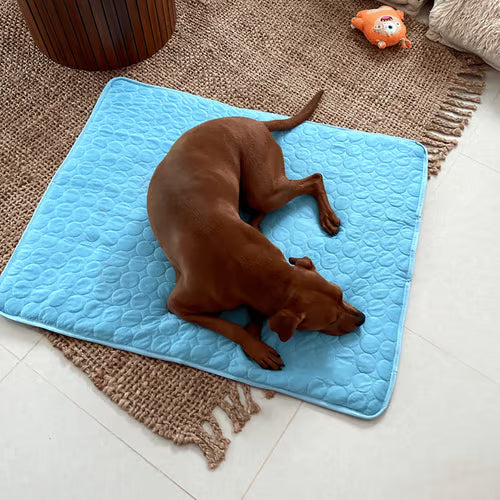 🌞Summer Hot Sale 49% OFF🧊Premium Cooling Mat For Pet– UK Ready! 🇬🇧