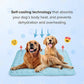 🌞Summer Hot Sale 49% OFF🧊Premium Cooling Mat For Pet– UK Ready! 🇬🇧