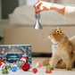 🔥Last 48 hours 50% OFF - 🐱2024 Christmas Countdown Cat Toys Advent Calendar