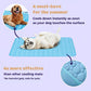 🌞Summer Hot Sale 49% OFF🧊Premium Cooling Mat For Pet– UK Ready! 🇬🇧