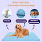🌞Summer Hot Sale 49% OFF🧊Premium Cooling Mat For Pet– UK Ready! 🇬🇧