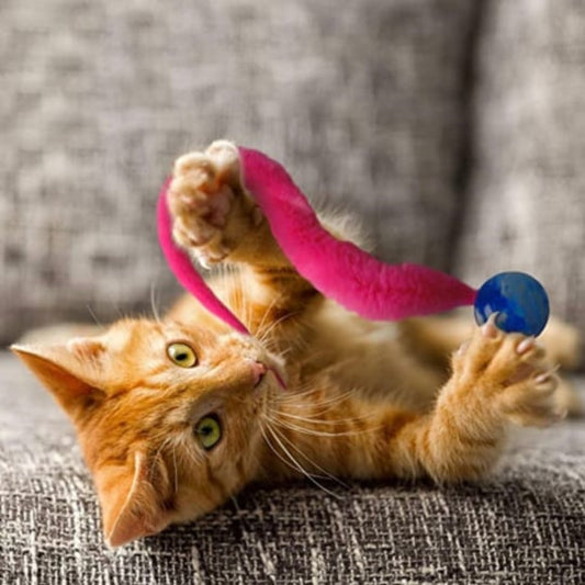 🔥HOT SALE 49% OFF🔥Typared Jiggle Ball for Cat