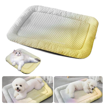 ⏰LAST DAY SALE ONLY￡9.99!!❄Pet Cooling Mat for Dogs & Cats 🐾  Naturally Cool Ice-Silk Pad • Breathable, Washable & Soft 🌿  For Floors, Sofas & Car Travel • Multiple Sizes • Gradient Colours ☀️🐶🐱