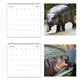 🦛Moo Deng Calendar | 2025 Calendar