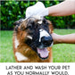 🔥LAST DAY 49% OFF - Rinse-Free Dog Shampoo Mitts – Hypoallergenic Pet Bath Wipes, 6 Packs