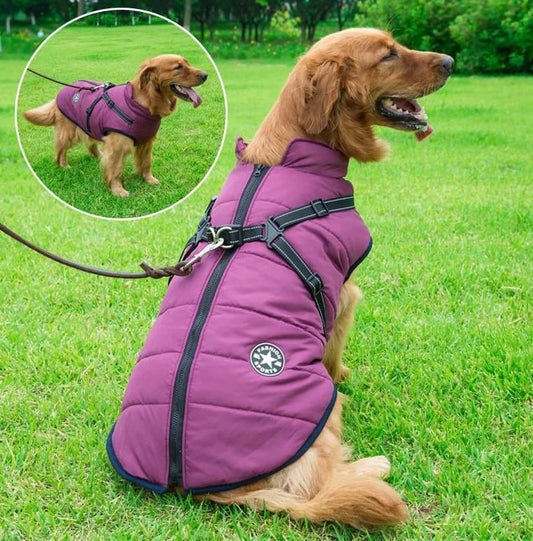 🔥 Waterproof Furry Jacket for Dogs of All Sizes