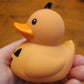 Funny Gift-You've Been Ducked