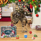 🎄Last 48 hours 70% OFF🎁2025 Christmas Countdown Cat&Dog Toys Advent Calendar🐾🥳